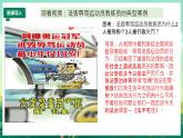 部编版8上道德与法治第五课第一框《法不可违 》课件+教案