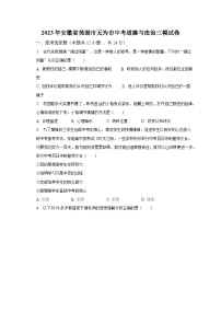 2023年安徽省芜湖市无为市中考道德与法治三模试卷（含解析）
