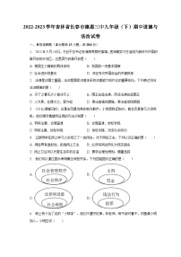 2022-2023学年吉林省长春市德惠三中九年级（下）期中道德与法治试卷（含解析）