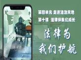 10.1法律为我们护航 课件