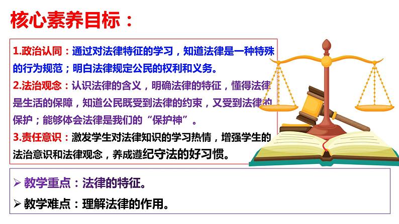 2022-2023学年部编版道德与法治七年级下册9.2 法律保障生活 课件第2页