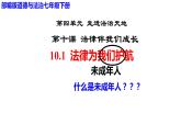 2022-2023学年部编版道德与法治七年级下册10.1 法律为我们护航 课件