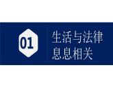 2022-2023学年部编版道德与法治七年级下册9.1 生活需要法律 课件