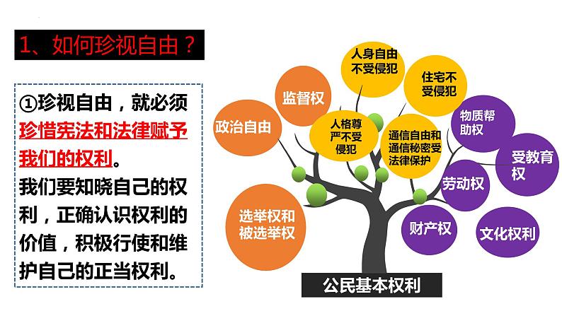 2022-2023学年部编版道德与法治八年级下册7.2 自由平等的追求 课件第8页