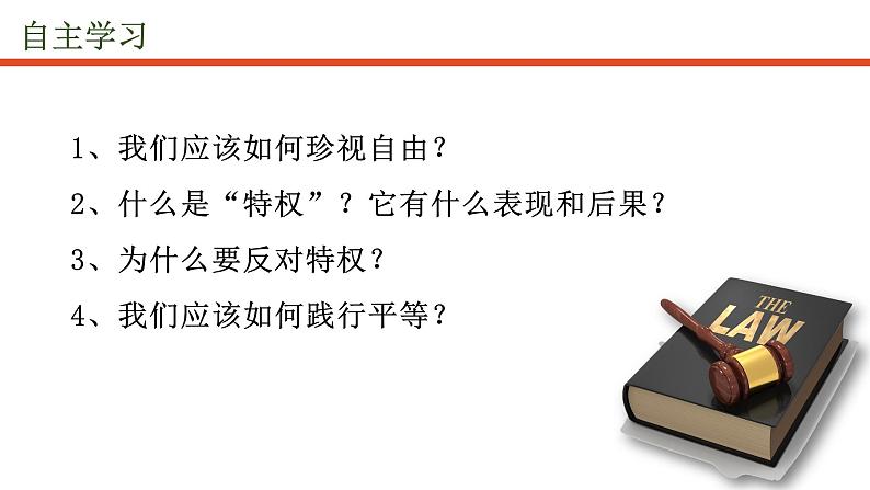 2022-2023学年部编版道德与法治八年级下册7.2 自由平等的追求课件第3页