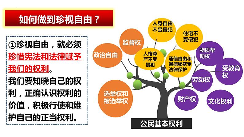 2022-2023学年部编版道德与法治八年级下册7.2自由平等的追求 课件第6页