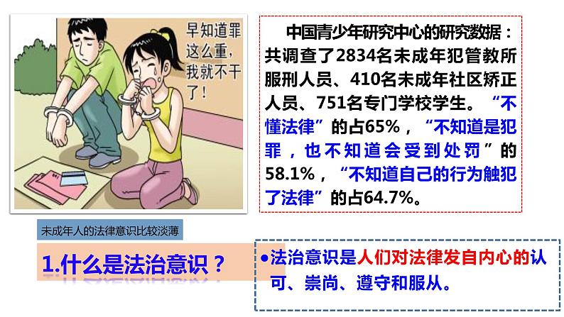 10.2+我们与法律同行+课件-2022-2023学年部编版道德与法治七年级下册04