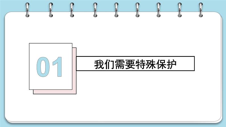 10.1 法律为我们护航课件PPT第2页