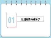 10.1 法律为我们护航课件PPT