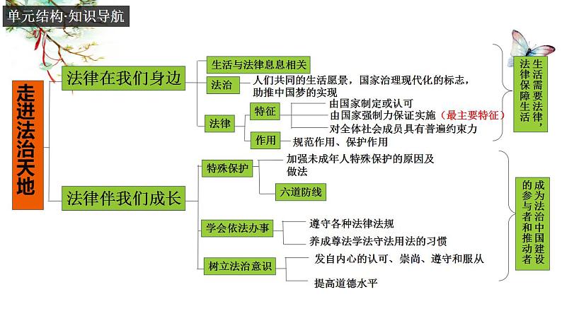 第四单元 走进法治天地（单元复习）课件PPT03