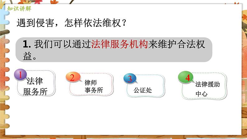8上道法人教版份5.3 善用法律 PPT课件06