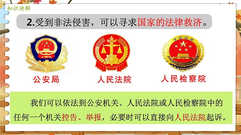 8上道法人教版份5.3 善用法律 PPT课件08