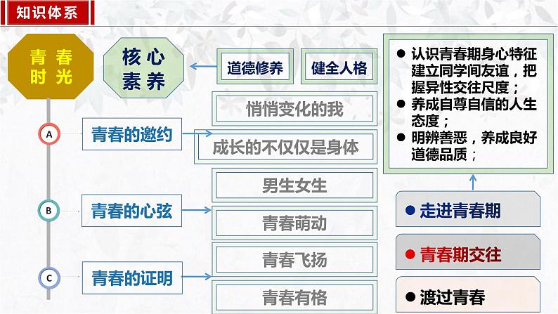 3.2 青春有格课件第2页