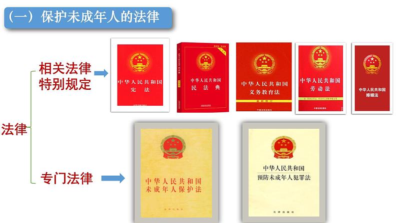 10.1 法律为我们护航课件PPT04