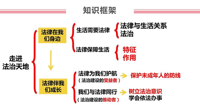 第四单元 走进法治天地 复习课件第4页