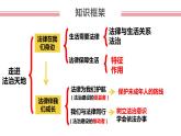 第四单元 走进法治天地 复习课件