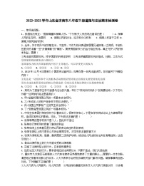 2022-2023学年山东省济南市八年级下册道德与法治期末检测卷（含解析）