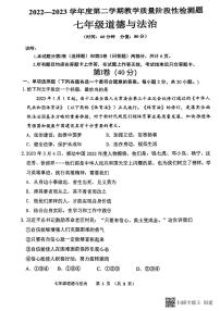 山东省青岛市黄岛区2022-2023学年七年级下学期6月期末道德与法治试题