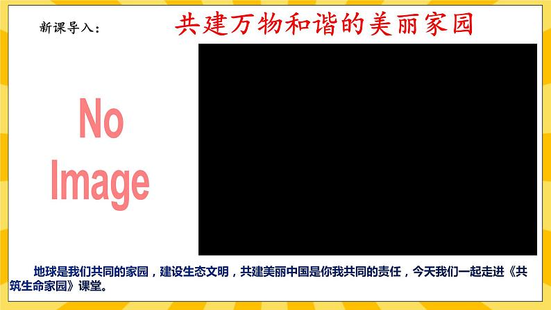 【核心素养】部编版道德与法治九年级上册6.2 共筑生命家园 课件+视频素材02