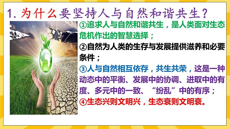 【核心素养】部编版道德与法治九年级上册6.2 共筑生命家园 课件+视频素材07