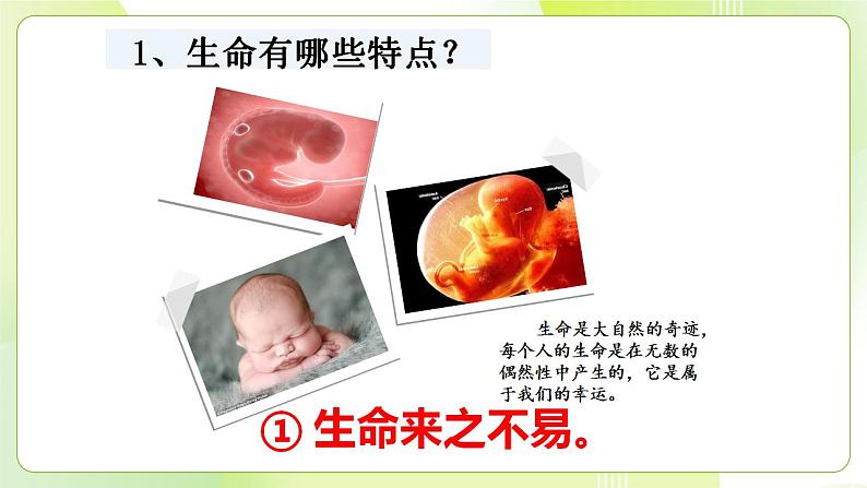 人教部编版道德与法治七年级上册 8.1 生命可以永恒吗 ppt课件第7页