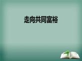 1.2+走向共同富裕+课件-2022-2023学年部编版道德与法治九年级上册 (4)
