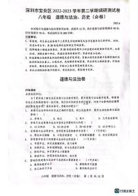 广东省深圳市宝安区+2022-2023学年八年级下学期月考调研测试卷道德与法治试卷