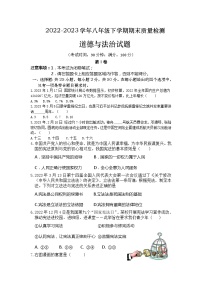 福建省泉州市泉港区2022-2023学年八年级下学期期末教学质量检测道德与法治试题（含答案）