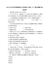 河南省新乡市长垣县2022-2023学年八年级下学期期末道德与法治试卷（含答案）