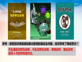 道法九上6.2 共筑生命家园课件PPT