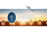 【部编版】七上政治  10.1 感受生命的意义（课件+练习+素材）