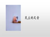 2023-2024学年部编版九年级道德与法治上册  3.1 生活在新型民主国家  课件