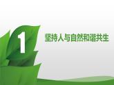 2023-2024学年部编版九年级道德与法治上册 6.2 共筑生命家园  课件