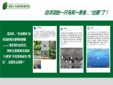 2023-2024学年部编版九年级道德与法治上册 6.2 共筑生命家园  课件