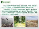 2023-2024学年部编版九年级道德与法治上册 6.2 共筑生命家园  课件