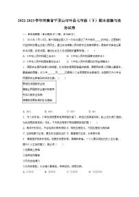 2022-2023学年河南省平顶山市叶县七年级（下）期末道德与法治试卷（含解析）