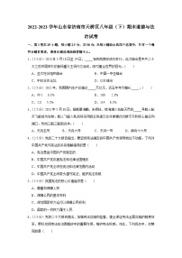 山东省济南市天桥区2022-2023学年八年级下学期期末考试道德与法治试题（含答案）