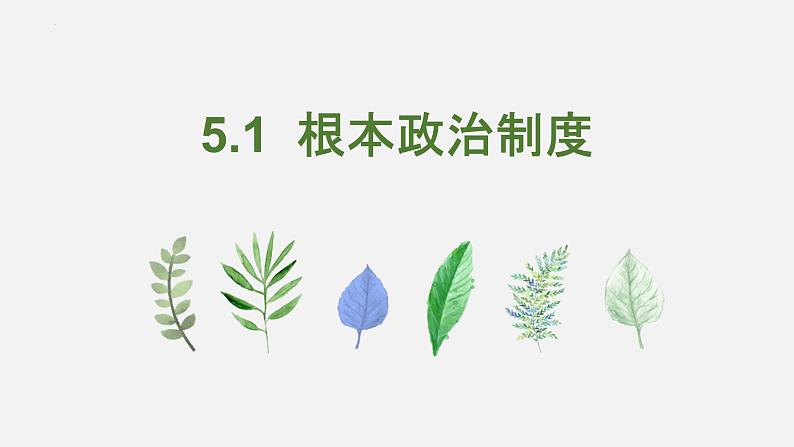 5.1 根本政治制度第1页