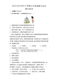 湖南省益阳市大通湖管理区两校2022-2023学年七年级下学期期末联考道德与法治道德与法治试题（含答案）