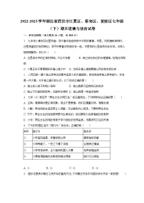 2022-2023学年湖北省武汉市江夏区、蔡甸区、黄陂区七年级（下）期末道德与法治试卷（含解析）