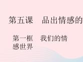 2023七年级道德与法治下册第二单元做情绪情感的主人第五课品出情感的韵味第一框我们的情感世界作业课件新人教版