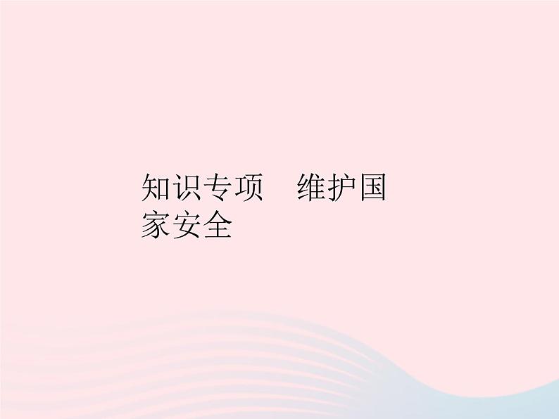 2023八年级道德与法治上册第四单元维护国家利益知识专项维护国家安全作业课件新人教版01