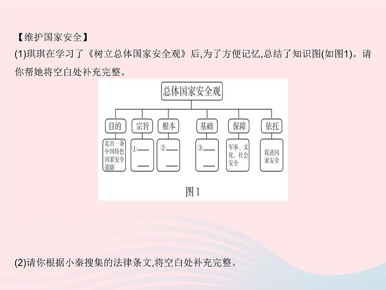 2023八年级道德与法治上册第四单元维护国家利益知识专项维护国家安全作业课件新人教版02