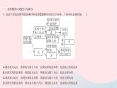 2023八年級(jí)道德與法治下冊(cè)第一單元堅(jiān)持憲法至上單元綜合檢測(cè)作業(yè)課件新人教版