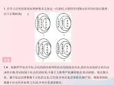 2023八年级道德与法治下册第二单元理解权利义务知识专项正确行使权利自觉履行义务作业课件新人教版