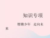 2023九年级道德与法治下册第三单元走向未来的少年知识专项铿锵少年走向未来作业课件新人教版