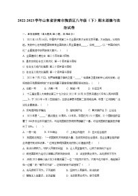 2022-2023学年山东省济南市槐荫区八年级（下）期末道德与法治试卷（含解析）