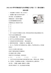 2022-2023学年河南省驻马店市驿城区七年级（下）期末道德与法治试卷（含解析）