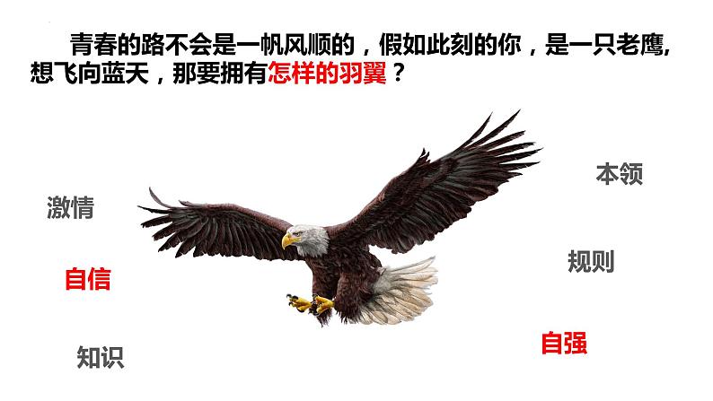 3.1青春飞扬 课件 2022-2023学年部编版道德与法治七年级下册第8页