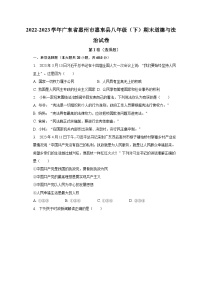 2022-2023学年广东省惠州市惠东县八年级（下）期末道德与法治试卷（含解析）